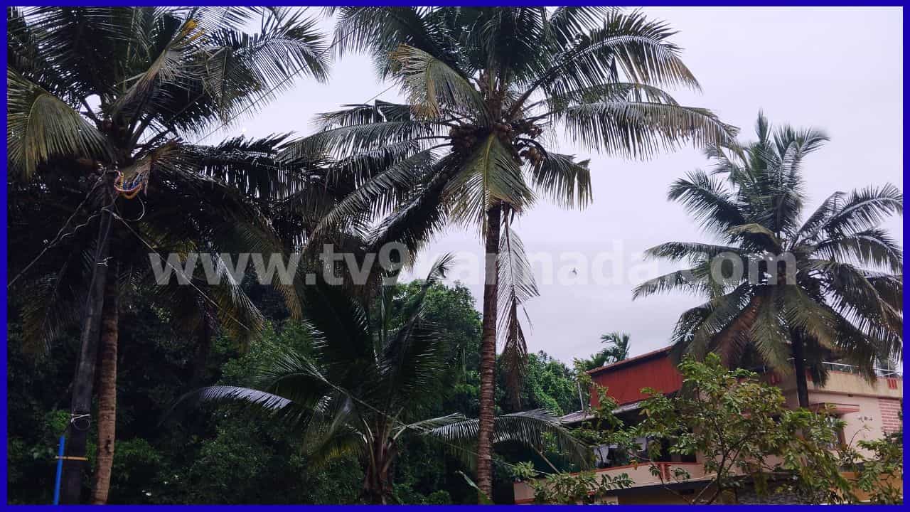 Karnataka Weather Forecast: ಕರಾವಳಿ ಜಿಲ್ಲೆಗಳಿಗೆ ಆರೆಂಜ್ ಅಲರ್ಟ್, ಶಿವಮೊಗ್ಗ-ಚಿಕ್ಕಮಗಳೂರಲ್ಲೂ ಭಾರೀ ಮಳೆ ಮುನ್ಸೂಚನೆ