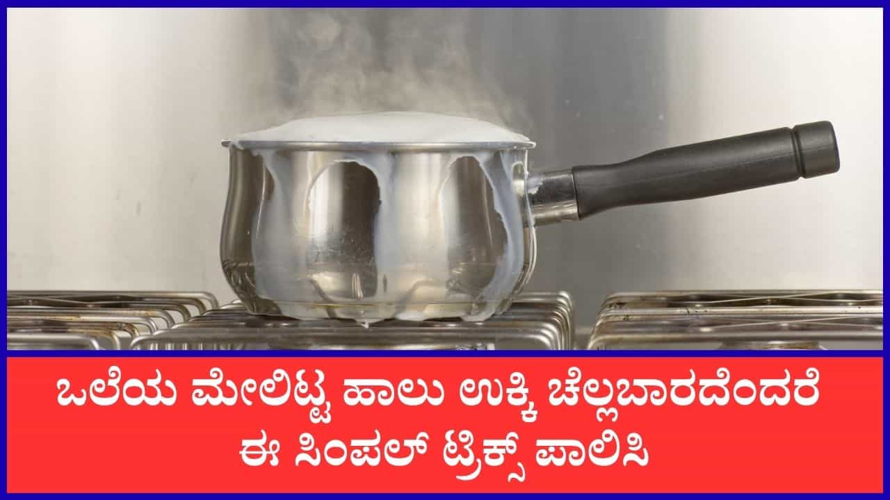 Kitchen Tips: ಒಲೆಯಲ್ಲಿಟ್ಟ ಹಾಲು ಉಕ್ಕಿ ಚೆಲ್ಲದಂತೆ ತಡೆಯಲು ಈ ಸರಳ ಸಲಹೆಯನ್ನು ಪಾಲಿಸಿ Kitchen Tips: ಒಲೆಯಲ್ಲಿಟ್ಟ ಹಾಲು ಉಕ್ಕಿ ಚೆಲ್ಲದಂತೆ ತಡೆಯಲು ಈ ಸರಳ ಸಲಹೆಯನ್ನು ಪಾಲಿಸಿ