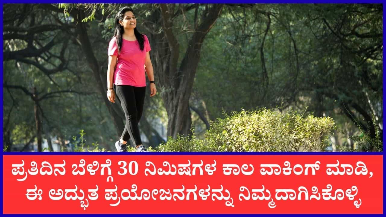 ಬೆಳಿಗ್ಗೆ 30 ನಿಮಿಷಗಳ ಕಾಲ ವಾಕಿಂಗ್ ಮಾಡುವುದರಿಂದ ಎಷ್ಟೆಲ್ಲಾ ಪ್ರಯೋಜನಗಳು ಲಭಿಸುತ್ತವೆ ಗೊತ್ತಾ? ಬೆಳಿಗ್ಗೆ 30 ನಿಮಿಷಗಳ ಕಾಲ ವಾಕಿಂಗ್ ಮಾಡುವುದರಿಂದ ಎಷ್ಟೆಲ್ಲಾ ಪ್ರಯೋಜನಗಳು ಲಭಿಸುತ್ತವೆ ಗೊತ್ತಾ?