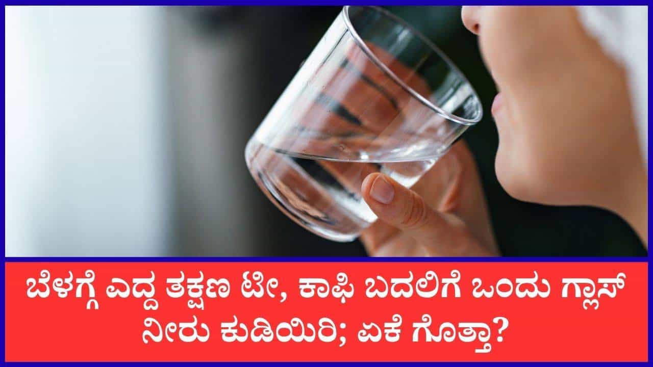 ಬೆಳಗ್ಗೆ ಎದ್ದ ತಕ್ಷಣ ಖಾಲಿ ಹೊಟ್ಟೆಯಲ್ಲಿ ನೀರು ಕುಡಿಯುವುದರಿಂದ ದೊರೆಯುವ ಪ್ರಯೋಜನಗಳೇನು? ಬೆಳಗ್ಗೆ ಎದ್ದ ತಕ್ಷಣ ಖಾಲಿ ಹೊಟ್ಟೆಯಲ್ಲಿ ನೀರು ಕುಡಿಯುವುದರಿಂದ ದೊರೆಯುವ ಪ್ರಯೋಜನಗಳೇನು?