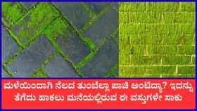 ಪಾಚಿಗಟ್ಟಿದ ನೆಲವನ್ನು ಕ್ಲೀನ್‌ ಮಾಡುವ ಸುಲಭ ಸಲಹೆ