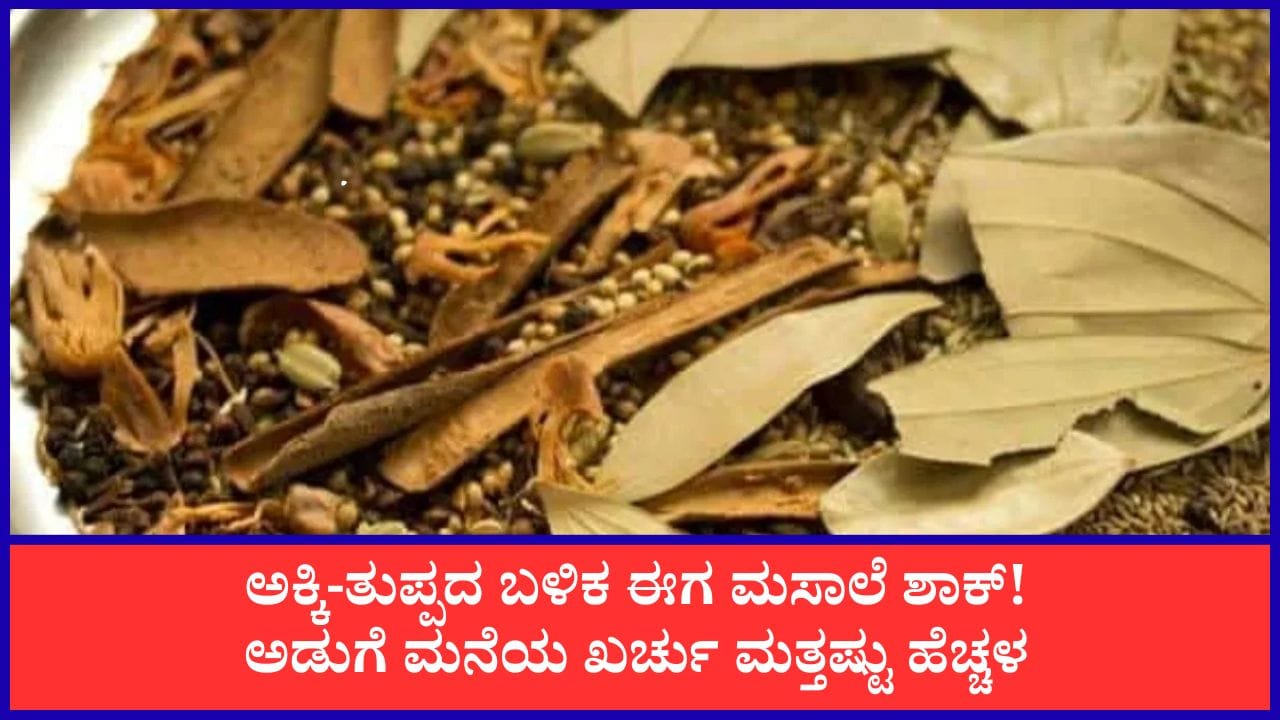 Photo from TV9 Kannada