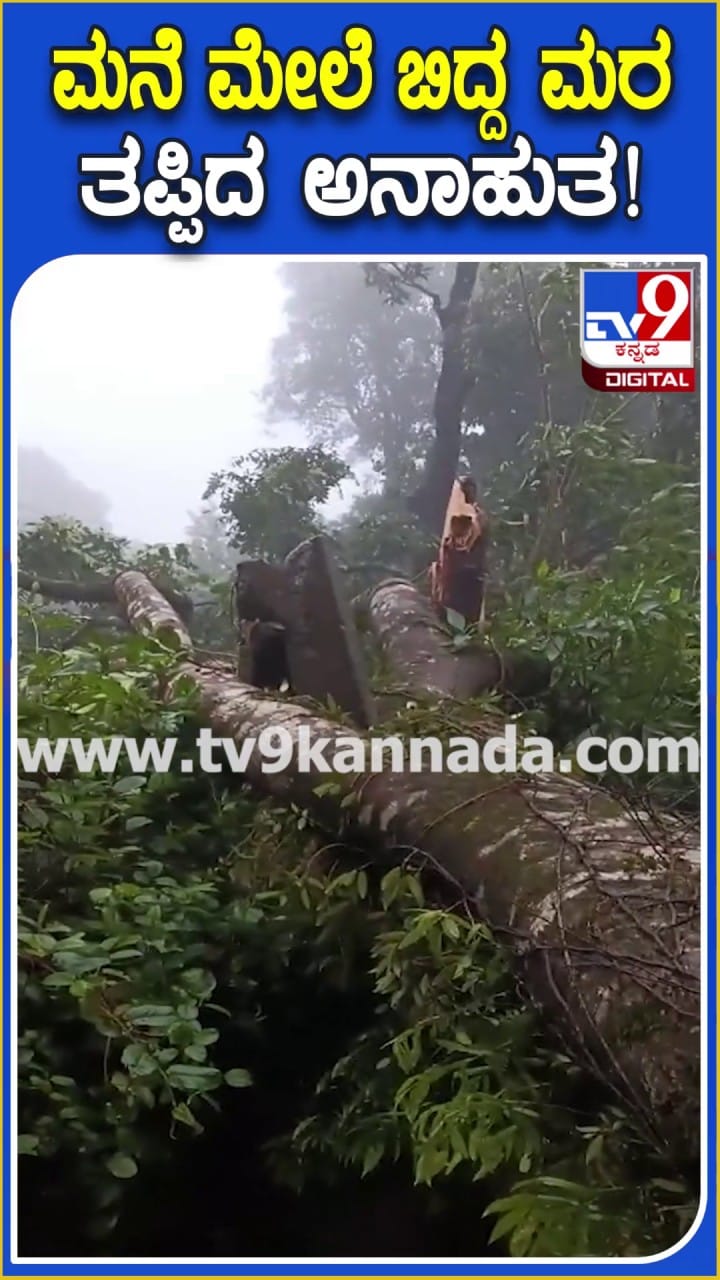ಮೂಡಿಗೆರೆ: ಮನೆ ಮೇಲೆ ಬಿದ್ದ ಬೃಹತ್ ಮರ, ತಪ್ಪಿದ ಅನಾಹುತ