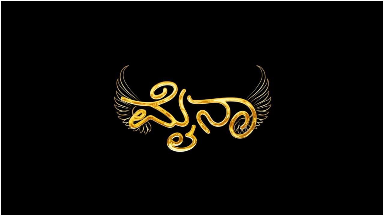 ಈ ಧಾರಾವಾಹಿಯನ್ನು ‘ಕೋಮಲ್ ಎಂಟರ್ಪ್ರೈಸಸ್’ ನಿರ್ಮಾಣ ಮಾಡಿದೆ. ವಾಲಿ-ದಯಾಕರ್ ಛಾಯಾಗ್ರಹಣ ಮಾಡಿದ್ದಾರೆ. ‘ಮೈನಾ-ಧ್ರುವ ತಾಂಡವ’ದಲ್ಲಿ ವಿಜಯಲಕ್ಷ್ಮೀ, ಸಿದ್ದಾರ್ಥ, ಅರಾಫತ್ ಷರೀಫ್, ಜೆ.ಎಸ್. ವಾಲಿ, ಕಾರ್ತಿಕ್, ಆಯುಧ್, ಶಿಲ್ಪಾ, ನವ್ಯಾ ಕೂಡ ನಟಿಸಿದ್ದಾರೆ.