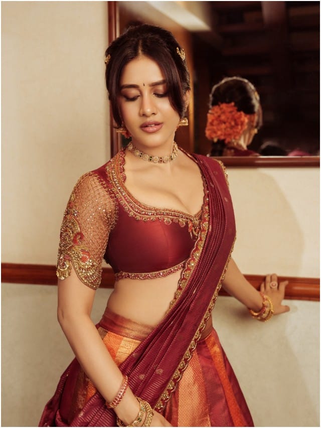 ಯುವರಾಣಿ ರೀತಿ ಕಂಗೊಳಿಸಿದ ನಟಿ ನಭಾ ನಟೇಶ್