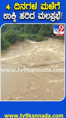 ಧಾರಾಕಾರ ಮಳೆ: ಮೈದುಂಬಿ ಹರಿಯುತ್ತಿರುವ ಮಲಪ್ರಭೆ