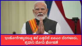 ವಿದೇಶಿ ಹಿಂದೂ ದೇಗುಲಗಳ ಜೀರ್ಣೋದ್ಧಾರಕ್ಕೆ ಪ್ರಧಾನಿ ಮೋದಿ ಕೊಡುಗೆ