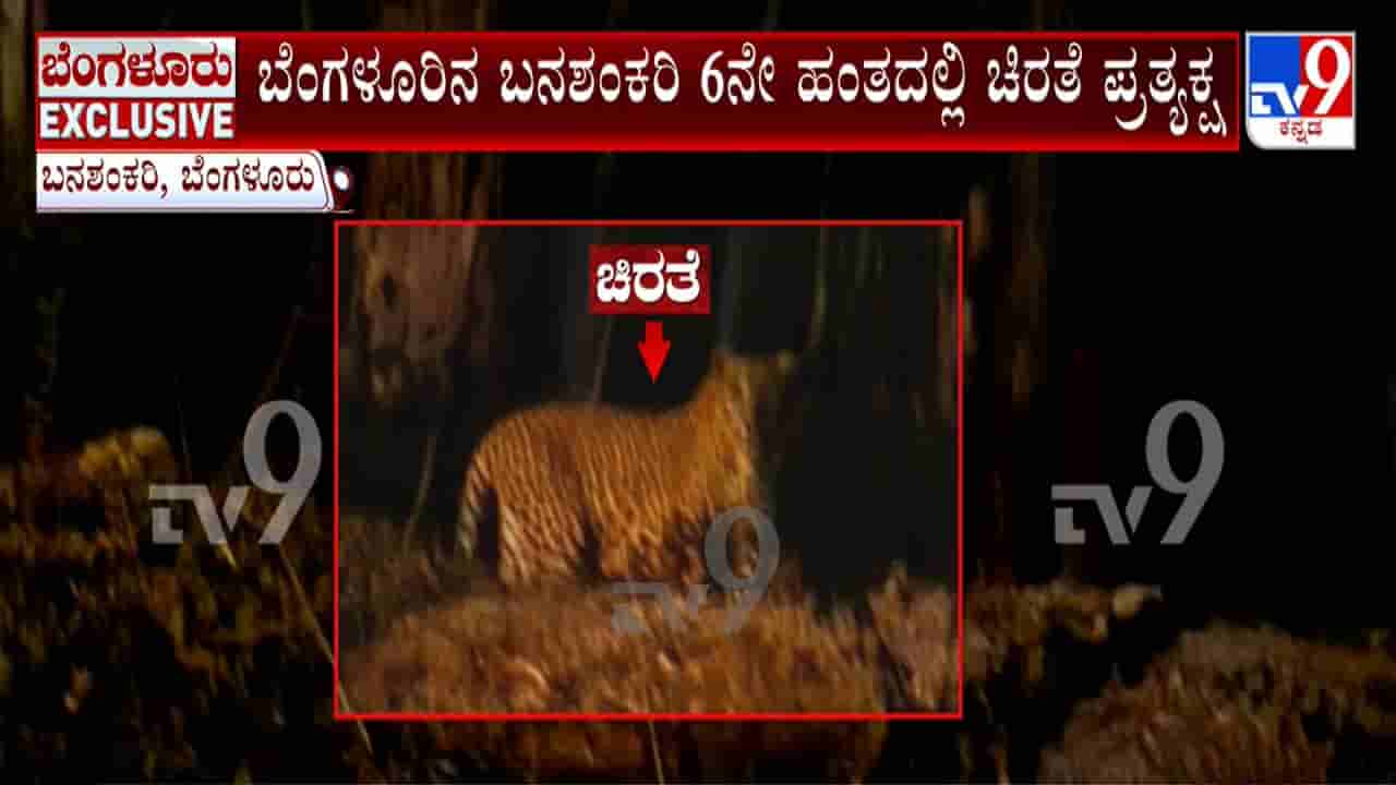 ಬೆಂಗಳೂರಿನಲ್ಲಿ ಹೆಚ್ಚಿದ ಚಿರತೆ ಭೀತಿ: ಬ್ಯಾಡರಹಳ್ಳಿಯಲ್ಲಿ ಚಿರತೆ ಇದೆ ಎಚ್ಚರಿಕೆ ಬೋರ್ಡ್, ಬನಶಂಕರಿಯಲ್ಲೂ ಪ್ರತ್ಯಕ್ಷ!