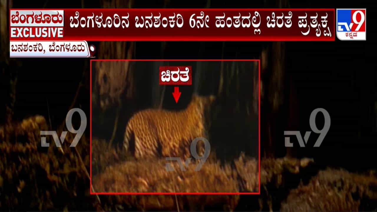 ಬೆಂಗಳೂರಿನಲ್ಲಿ ಹೆಚ್ಚಿದ ಚಿರತೆ ಭೀತಿ: ಬ್ಯಾಡರಹಳ್ಳಿಯಲ್ಲಿ ಚಿರತೆ ಇದೆ ಎಚ್ಚರಿಕೆ ಬೋರ್ಡ್, ಬನಶಂಕರಿಯಲ್ಲೂ ಪ್ರತ್ಯಕ್ಷ!
