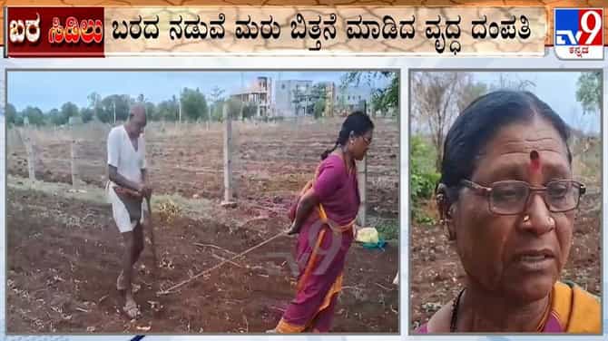 ಬರದ ನಡುವೆ ಮರುಬಿತ್ತನೆ ಮಾಡಿದ ವೃದ್ಧ ದಂಪತಿ!