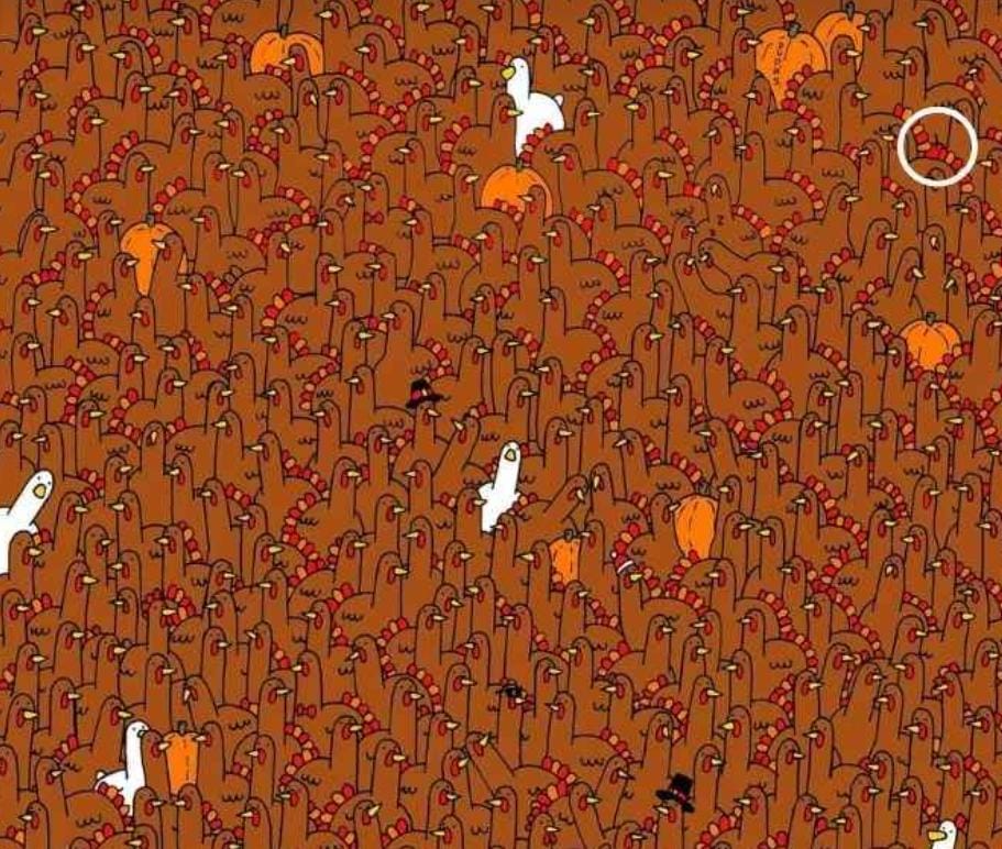 Optical Illusion Answer