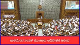 ನಾಳೆಯಿಂದ ಸಂಸತ್ ಮುಂಗಾರು ಅಧಿವೇಶನ ಆರಂಭ; ಎನ್​ಡಿಎ ಮುಂದಿದೆ ಹಲವು ಸವಾಲು