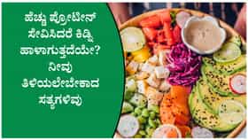 ಹೆಚ್ಚು ಪ್ರೋಟೀನ್ ಸೇವನೆ ಕಿಡ್ನಿಗೆ ಹಾನಿಕಾರಕವೇ?