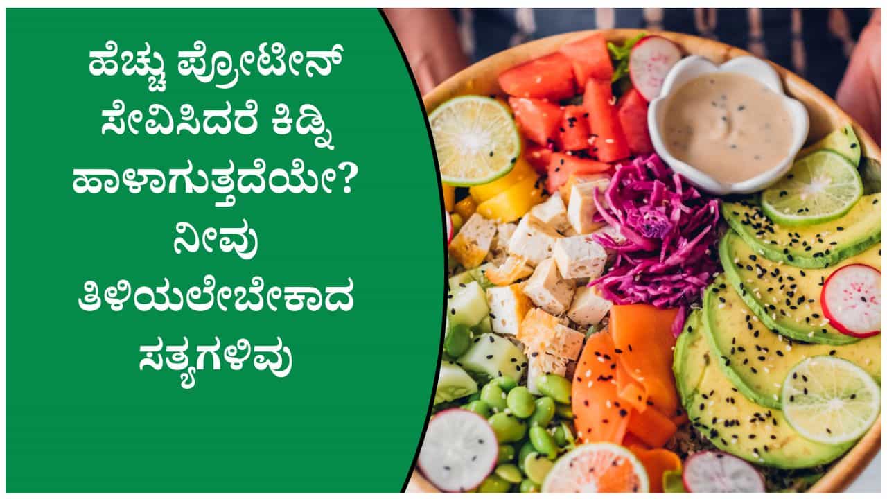 ಪ್ರೋಟೀನ್ ಹೆಚ್ಚು ತಿಂದ್ರೆ ಕಿಡ್ನಿ ಹಾಳಾಗುತ್ತದೆಯೇ? ಈ ಕುರಿತು ವೈದ್ಯರ ಅಭಿಪ್ರಾಯವೇನು? ಪ್ರೋಟೀನ್ ಹೆಚ್ಚು ತಿಂದ್ರೆ ಕಿಡ್ನಿ ಹಾಳಾಗುತ್ತದೆಯೇ? ಈ ಕುರಿತು ವೈದ್ಯರ ಅಭಿಪ್ರಾಯವೇನು?