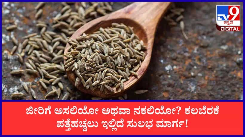 Identify Fake Jeera: ಜೀರಿಗೆ ಅಸಲಿಯೋ ಅಥವಾ ನಕಲಿಯೋ? ಕಲಬೆರಕೆ ಪತ್ತೆಹಚ್ಚಲು ಇಲ್ಲಿದೆ 4 ಸುಲಭ ಟ್ರಿಕ್ಸ್!