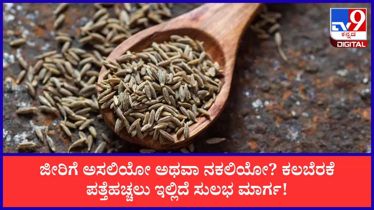 Identify Fake Jeera: ಜೀರಿಗೆ ಅಸಲಿಯೋ ಅಥವಾ ನಕಲಿಯೋ? ಕಲಬೆರಕೆ ಪತ್ತೆಹಚ್ಚಲು ಇಲ್ಲಿದೆ 4 ಸುಲಭ ಟ್ರಿಕ್ಸ್‌!