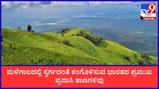 Travel Tips: ಜುಲೈ ತಿಂಗಳಲ್ಲಿ ಭಾರತದ ಈ ಪ್ರಮುಖ ಪ್ರವಾಸಿ ತಾಣಗಳಿಗೆ ತಪ್ಪದೇ ಭೇಟಿ ನೀಡಿ