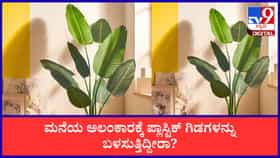 ಮನೆ ಅಲಂಕಾರಕ್ಕೆ ನಕಲಿ ಗಿಡಗಳನ್ನು ಬಳಸುತ್ತಿದ್ದೀರಾ?