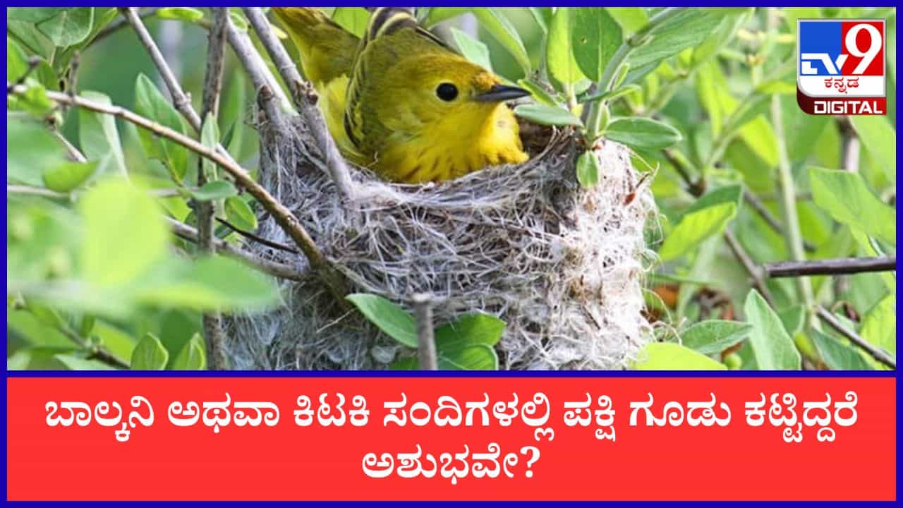 Vasthu Tips: ಮನೆಯ ಬಾಲ್ಕನಿ ಅಥವಾ ಕಿಟಕಿ ಸಂದಿಗಳಲ್ಲಿ ಪಕ್ಷಿ ಗೂಡು ಕಟ್ಟಿದ್ದರೆ ಅಶುಭವೇ? ಶಾಸ್ತ್ರಗಳು ಹೇಳುವುದೇನು? Vasthu Tips: ಮನೆಯ ಬಾಲ್ಕನಿ ಅಥವಾ ಕಿಟಕಿ ಸಂದಿಗಳಲ್ಲಿ ಪಕ್ಷಿ ಗೂಡು ಕಟ್ಟಿದ್ದರೆ ಅಶುಭವೇ? ಶಾಸ್ತ್ರಗಳು ಹೇಳುವುದೇನು?