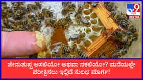 ಜೇನುತುಪ್ಪ ಅಸಲಿಯೋ ಅಥವಾ ನಕಲಿಯೋ? ಮನೆಯಲ್ಲೇ ಪರೀಕ್ಷಿಸಲು ಇಲ್ಲಿದೆ ಟಿಪ್ಸ್​