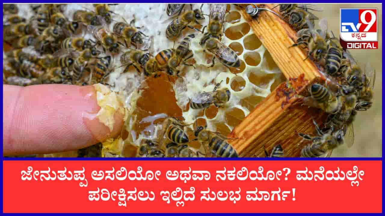 Pure Honey Test: ಜೇನುತುಪ್ಪ ಅಸಲಿಯೋ ಅಥವಾ ನಕಲಿಯೋ? ಮನೆಯಲ್ಲೇ ಪರೀಕ್ಷಿಸಲು ಇಲ್ಲಿದೆ 5 ಸುಲಭ ಮಾರ್ಗ!