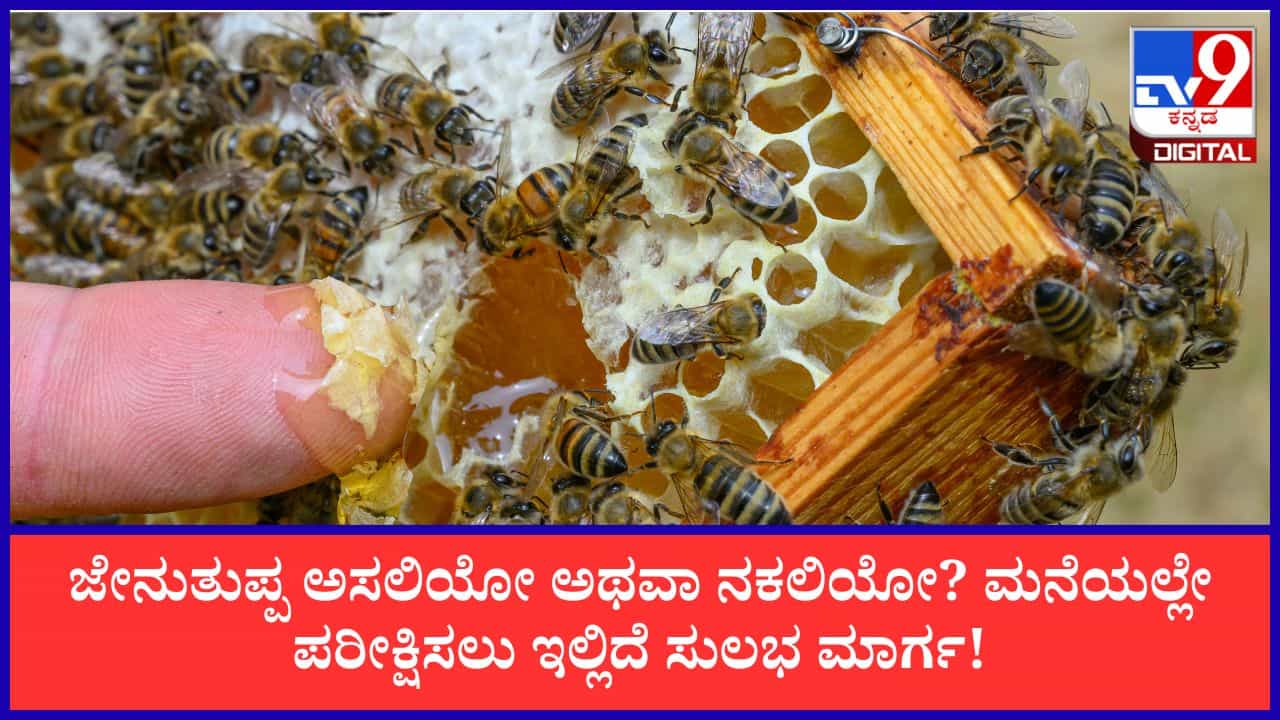 Pure Honey Test: ಜೇನುತುಪ್ಪ ಅಸಲಿಯೋ ಅಥವಾ ನಕಲಿಯೋ? ಮನೆಯಲ್ಲೇ ಪರೀಕ್ಷಿಸಲು ಇಲ್ಲಿದೆ 5 ಸುಲಭ ಮಾರ್ಗ! Pure Honey Test: ಜೇನುತುಪ್ಪ ಅಸಲಿಯೋ ಅಥವಾ ನಕಲಿಯೋ? ಮನೆಯಲ್ಲೇ ಪರೀಕ್ಷಿಸಲು ಇಲ್ಲಿದೆ 5 ಸುಲಭ ಮಾರ್ಗ!