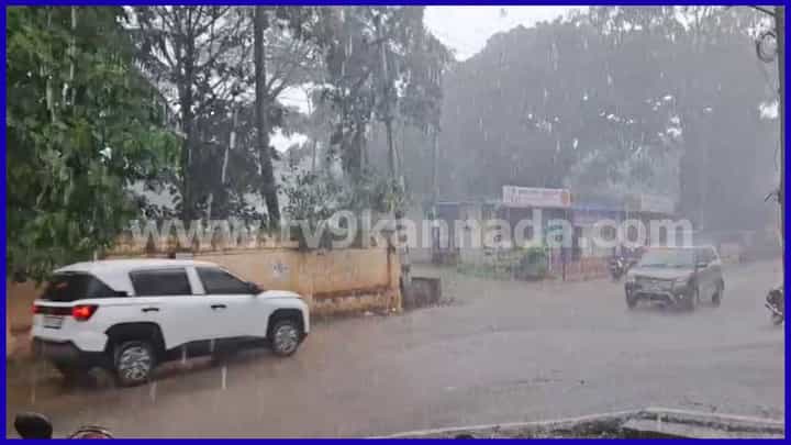 ದಕ್ಷಿಣ ಕನ್ನಡದಲ್ಲಿ ಭಾರಿ ಮಳೆ, ಆರೆಂಜ್ ಅಲರ್ಟ್ ಘೋಷಣೆ: ಶಾಲೆ, ಕಾಲೇಜುಗಳಿಗೆ ರಜೆ ದಕ್ಷಿಣ ಕನ್ನಡದಲ್ಲಿ ಭಾರಿ ಮಳೆ, ಆರೆಂಜ್ ಅಲರ್ಟ್ ಘೋಷಣೆ: ಶಾಲೆ, ಕಾಲೇಜುಗಳಿಗೆ ರಜೆ