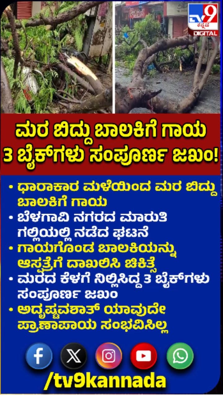 ಭಾರಿ ಮಳೆಗೆ ಬೃಹತ್​​ ಮರ ಬಿದ್ದು ಅವಾಂತರ