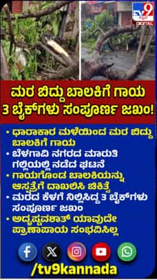 ಭಾರಿ ಮಳೆಗೆ ಬೃಹತ್​​ ಮರ ಬಿದ್ದು ಅವಾಂತರ