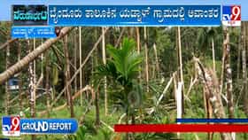 ಉಡುಪಿಯ ಬೈಂದೂರಿನಲ್ಲಿ ಸುಂಟರಗಾಳಿಗೆ 150 ಅಡಿಕೆ ಮರಗಳು ಧರಾಶಾಹಿ