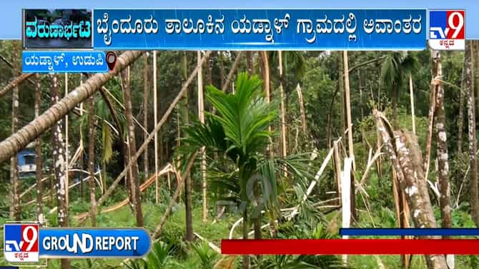 ಬೈಂದೂರಿನಲ್ಲಿ ಸುಂಟರಗಾಳಿಗೆ 150 ಅಡಿಕೆ ಮರಗಳು ಧರಾಶಾಹಿ
