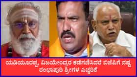 ವಿಜಯೇಂದ್ರರ ಕಡೆಗಣಿಸಿದರೆ ಬಿಜೆಪಿಗೆ ಭಾರಿ ನಷ್ಟ: ರಂಭಾಪುರಿ ಶ್ರೀ ಎಚ್ಚರಿಕೆ