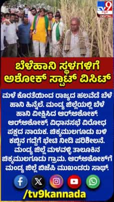 ಮಂಡ್ಯ ಬೆಳೆ ಹಾನಿ ವೀಕ್ಷಿಸಿದ ಆರ್.ಅಶೋಕ್