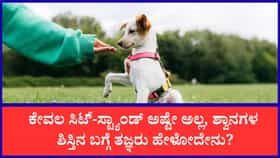 ಕೇವಲ ಕಮಾಂಡ್‌ಗಳಷ್ಟೇ ಸಾಲದು, ಶ್ವಾನದ ಮನಸ್ಸು ಅರ್ಥಮಾಡಿಕೊಳ್ಳಿ'