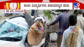 ಗಾಳಿಯಿಲ್ಲ, ಮಳೆಯಿಲ್ಲ ಮುರಿದುಬಿದ್ದ ಮರದ ಕೊಂಬೆ: ಎರಡು ಕಾರು, ಒಂದು ಬೈಕ್‌ ಜಖಂ