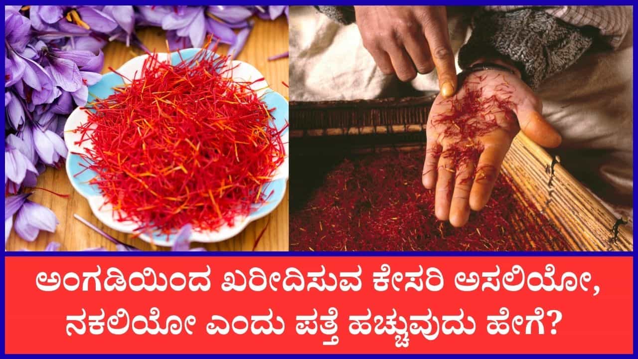 ನೀವು ಖರೀದಿಸುವ ಕೇಸರಿ ಅಸಲಿಯೋ, ನಕಲಿಯೋ ಎಂಬುದನ್ನು ತಿಳಿಯಲು ಈ ಟ್ರಿಕ್ಸ್‌ ಬಳಸಿ