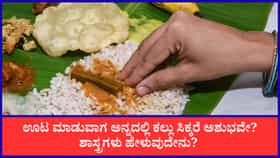 ಊಟ ಮಾಡುವಾಗ ಅನ್ನದಲ್ಲಿ ಕಲ್ಲು ಸಿಕ್ಕರೆ ಏನರ್ಥ? ಶಾಸ್ತ್ರಗಳು ಹೇಳುವುದೇನು?