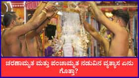 ಚರಣಾಮೃತ ಮತ್ತು ಪಂಚಾಮೃತ ನಡುವಿನ ವ್ಯತ್ಯಾಸ ಇಲ್ಲಿ ತಿಳಿಯಿರಿ