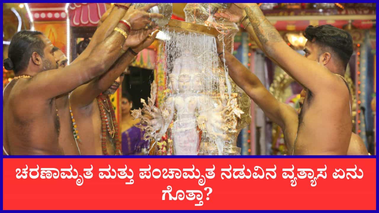 Charanamrita and Panchamrita: ದೇವರಿಗೆ ಅರ್ಪಿಸುವ ಚರಣಾಮೃತ ಮತ್ತು ಪಂಚಾಮೃತ ನಡುವಿನ ವ್ಯತ್ಯಾಸ ಇಲ್ಲಿ ತಿಳಿಯಿರಿ Charanamrita and Panchamrita: ದೇವರಿಗೆ ಅರ್ಪಿಸುವ ಚರಣಾಮೃತ ಮತ್ತು ಪಂಚಾಮೃತ ನಡುವಿನ ವ್ಯತ್ಯಾಸ ಇಲ್ಲಿ ತಿಳಿಯಿರಿ