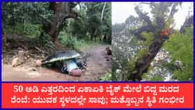 ಶಿವಮೊಗ್ಗ: ಚಲಿಸುತ್ತಿದ್ದ ಬೈಕ್ ಮೇಲೆ ಬಿದ್ದ ಒಣಮರದ ರೆಂಬೆ