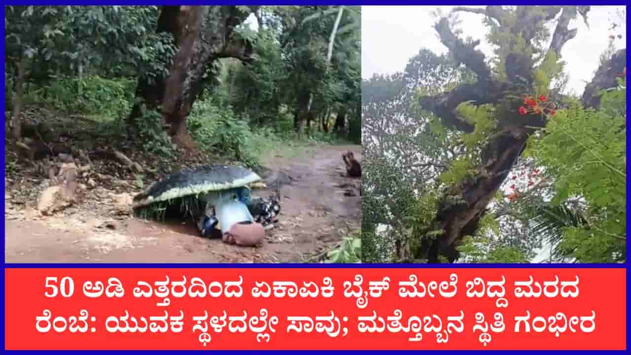 ಶಿವಮೊಗ್ಗ: ಚಲಿಸುತ್ತಿದ್ದ ಬೈಕ್ ಮೇಲೆ ಬಿದ್ದ ಒಣಮರದ ರೆಂಬೆ; ಸ್ಥಳದಲ್ಲೇ ಯುವಕ ಸಾವು, ಮತ್ತೊಬ್ಬ ಗಂಭೀರ