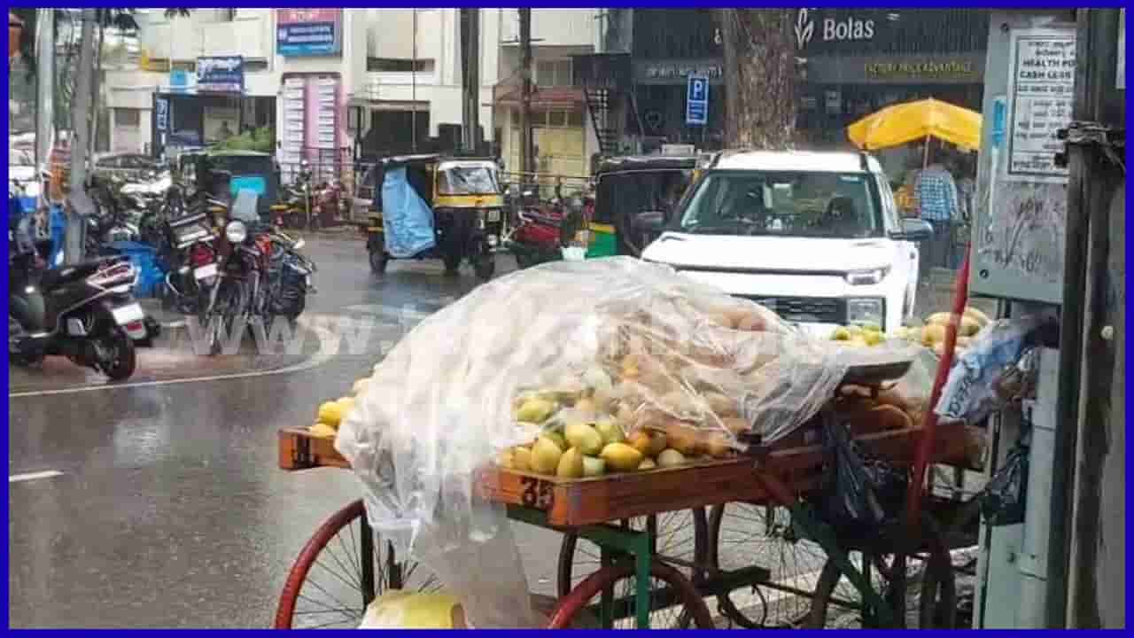 Karnataka Weather Forecast: ಕರ್ನಾಟಕ ಕರಾವಳಿ, ಒಳನಾಡಿನ ಹಲವು ಜಿಲ್ಲೆಗಳಲ್ಲಿ ಭಾರಿ ಮಳೆ, ಗಾಳಿಯ ಮುನ್ಸೂಚನೆ