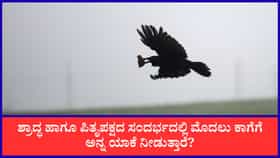 ಶ್ರಾದ್ಧದಲ್ಲಿ ಮೊದಲು ಕಾಗೆಗೆ ಅನ್ನ ಯಾಕೆ ನೀಡುತ್ತಾರೆ? ಕುತೂಹಲಕಾರಿ ಕಥೆ