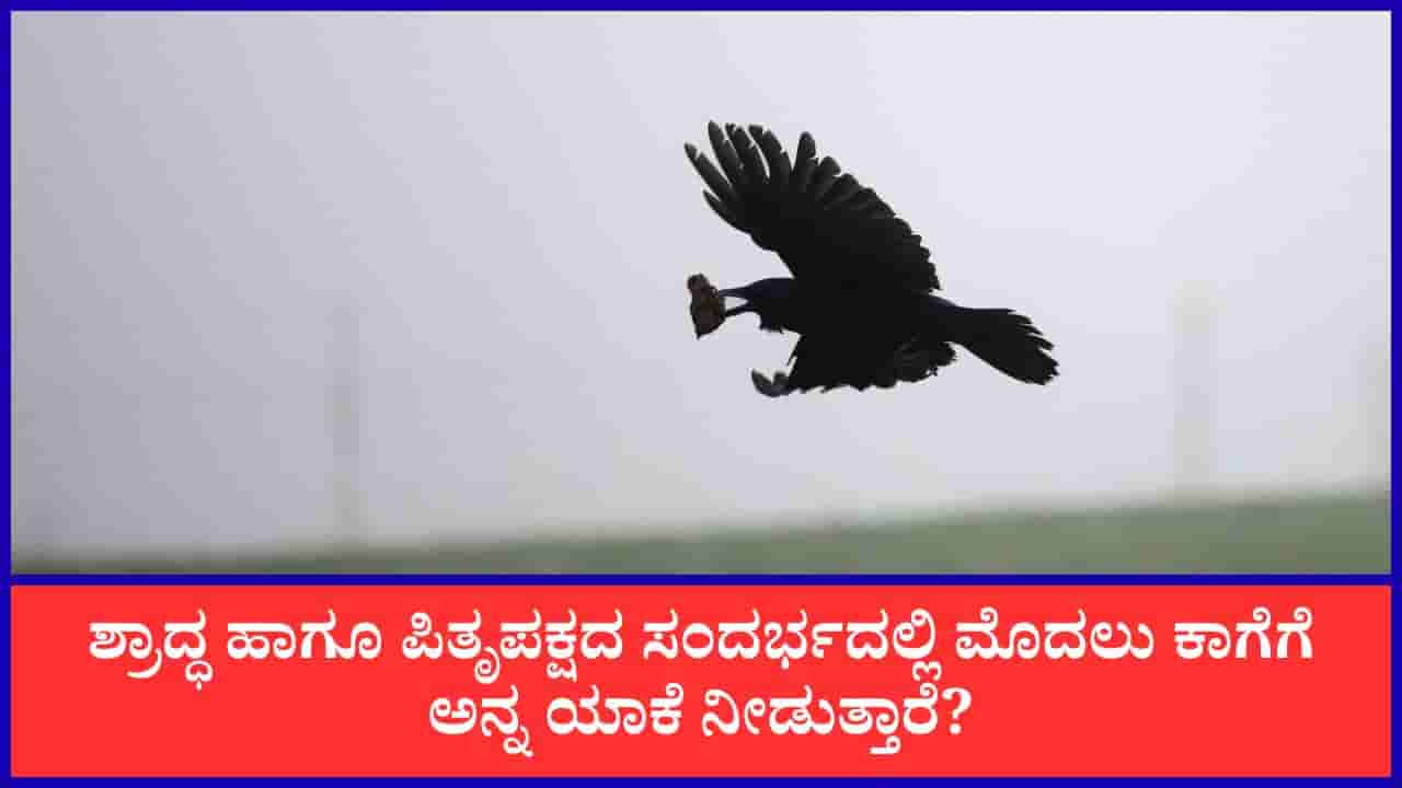 Hinduism: ಶ್ರಾದ್ಧದಲ್ಲಿ ಮೊದಲು ಕಾಗೆಗೆ ಅನ್ನ ಯಾಕೆ ನೀಡುತ್ತಾರೆ? ಇದರ ಹಿಂದಿದೆ ಗರುಡ ಪುರಾಣ ಮತ್ತು ರಾಮಾಯಣದ ಕುತೂಹಲಕಾರಿ ಕಥೆ