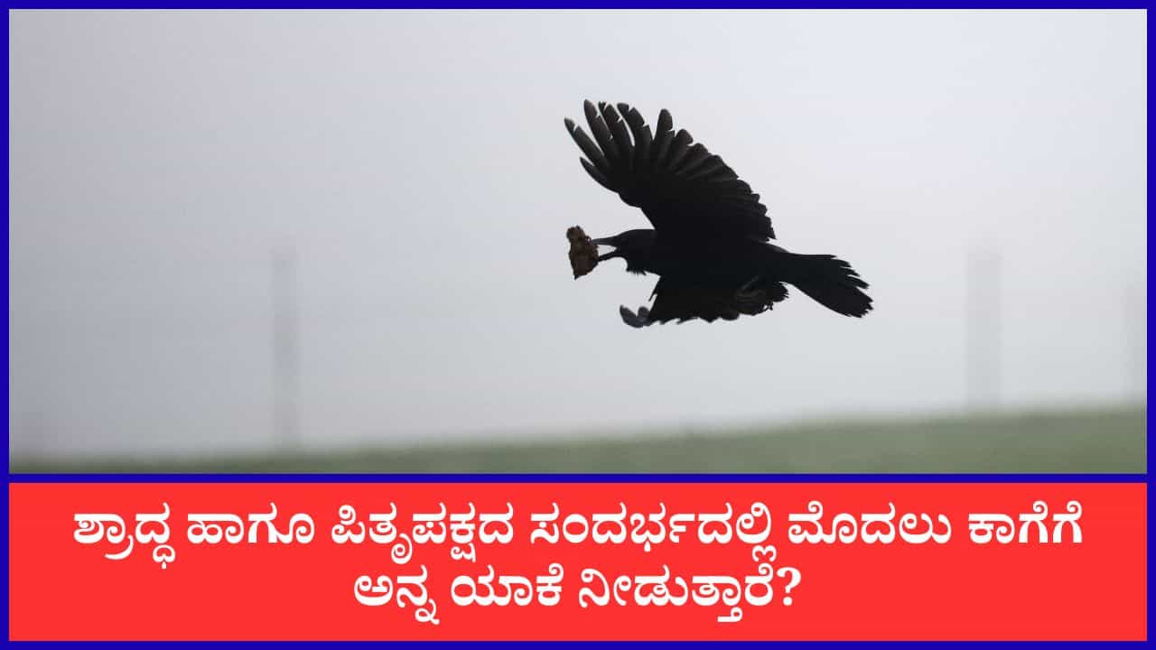 Hinduism: ಶ್ರಾದ್ಧದಲ್ಲಿ ಮೊದಲು ಕಾಗೆಗೆ ಅನ್ನ ಯಾಕೆ ನೀಡುತ್ತಾರೆ? ಇದರ ಹಿಂದಿದೆ ಗರುಡ ಪುರಾಣ ಮತ್ತು ರಾಮಾಯಣದ ಕುತೂಹಲಕಾರಿ ಕಥೆ Hinduism: ಶ್ರಾದ್ಧದಲ್ಲಿ ಮೊದಲು ಕಾಗೆಗೆ ಅನ್ನ ಯಾಕೆ ನೀಡುತ್ತಾರೆ? ಇದರ ಹಿಂದಿದೆ ಗರುಡ ಪುರಾಣ ಮತ್ತು ರಾಮಾಯಣದ ಕುತೂಹಲಕಾರಿ ಕಥೆ