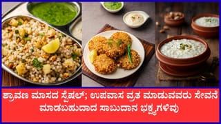 Shravan Fasting Food: ಶ್ರಾವಣ ಉಪವಾಸ ವ್ರತ ಮಾಡುವವರು ದಿನವಿಡೀ ಎನರ್ಜಿಯಿಂದ ಇರಲು ತಿನ್ನಬಹುದಾದ ಸಾಬುದಾನ ಭಕ್ಷ್ಯ