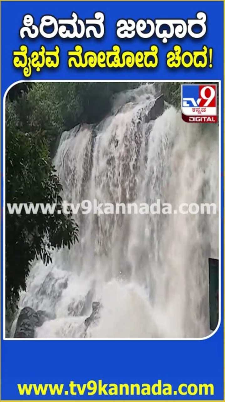 ಹಾಲ್ನೂರೆಯಂತೆ ಧುಮ್ಮುಕ್ಕುತ್ತಿರುವ ಶೃಂಗೇರಿ ತಾಲೂಕಿನ ಸಿರಿಮನೆ ಜಲಪಾತ!