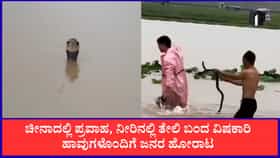 ಚೀನಾದಲ್ಲಿ ಪ್ರವಾಹ, ನೀರಿನೊಂದಿಗೆ ಬಂದ 900ಕ್ಕೂ ಹೆಚ್ಚು ವಿಷಕಾರಿ ಹಾವುಗಳು