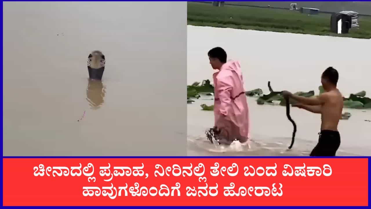 ಚೀನಾದಲ್ಲಿ ಭಾರಿ ಪ್ರವಾಹ, ನೀರಿನಲ್ಲಿ ತೇಲಿ ಬಂದ 900ಕ್ಕೂ ಹೆಚ್ಚು ವಿಷಕಾರಿ ಹಾವುಗಳು, ಮಹಿಳೆ ಸಾವು ಚೀನಾದಲ್ಲಿ ಭಾರಿ ಪ್ರವಾಹ, ನೀರಿನಲ್ಲಿ ತೇಲಿ ಬಂದ 900ಕ್ಕೂ ಹೆಚ್ಚು ವಿಷಕಾರಿ ಹಾವುಗಳು, ಮಹಿಳೆ ಸಾವು
