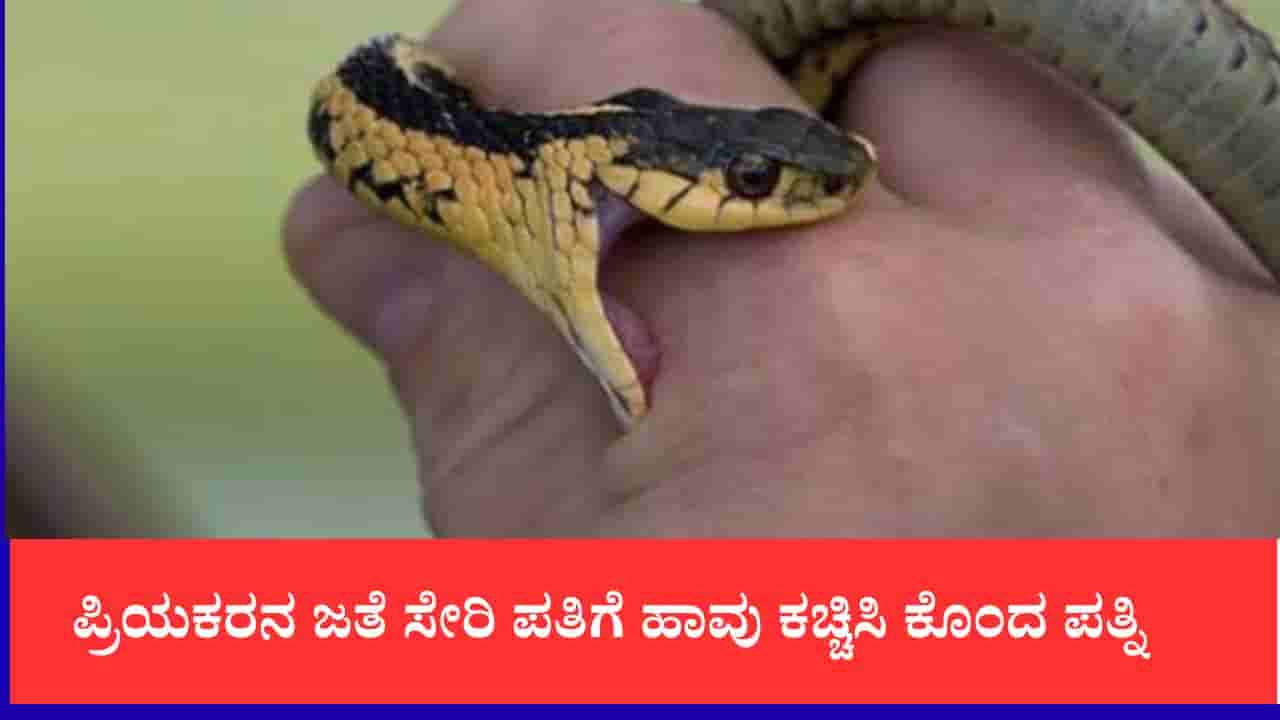 ಪ್ರಿಯಕರನ ಜತೆ ಸೇರಿ ಪತಿಗೆ ಹಾವು ಕಚ್ಚಿಸಿ ಕೊಂದ ಪತ್ನಿ, ತನಿಖೆ ವೇಳೆ ಬಯಲಾಯ್ತು ನಾಲ್ಕು ತಿಂಗಳ ಸ್ಕೆಚ್